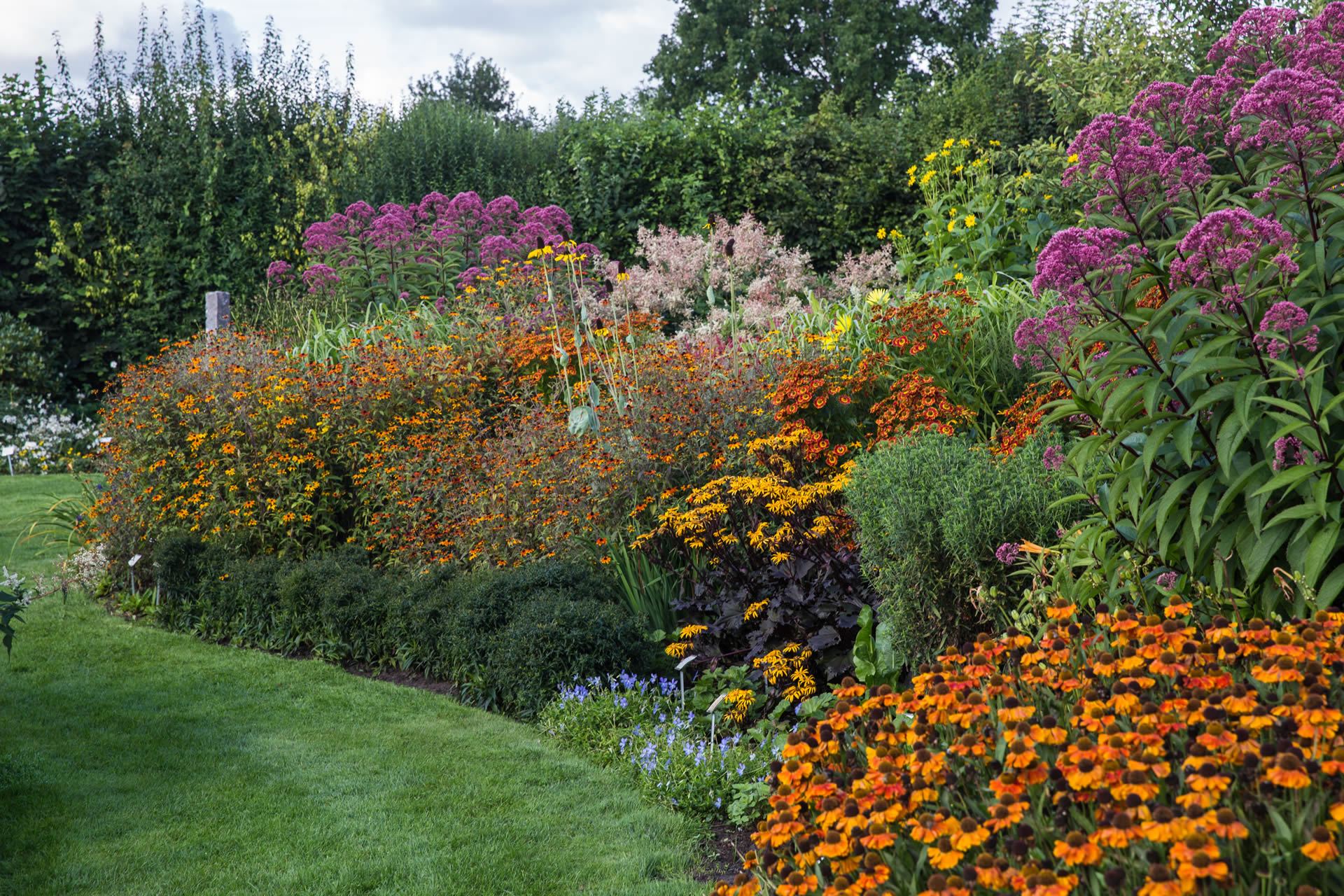 Staudengärtnerei Ihm - Zehren Meißen